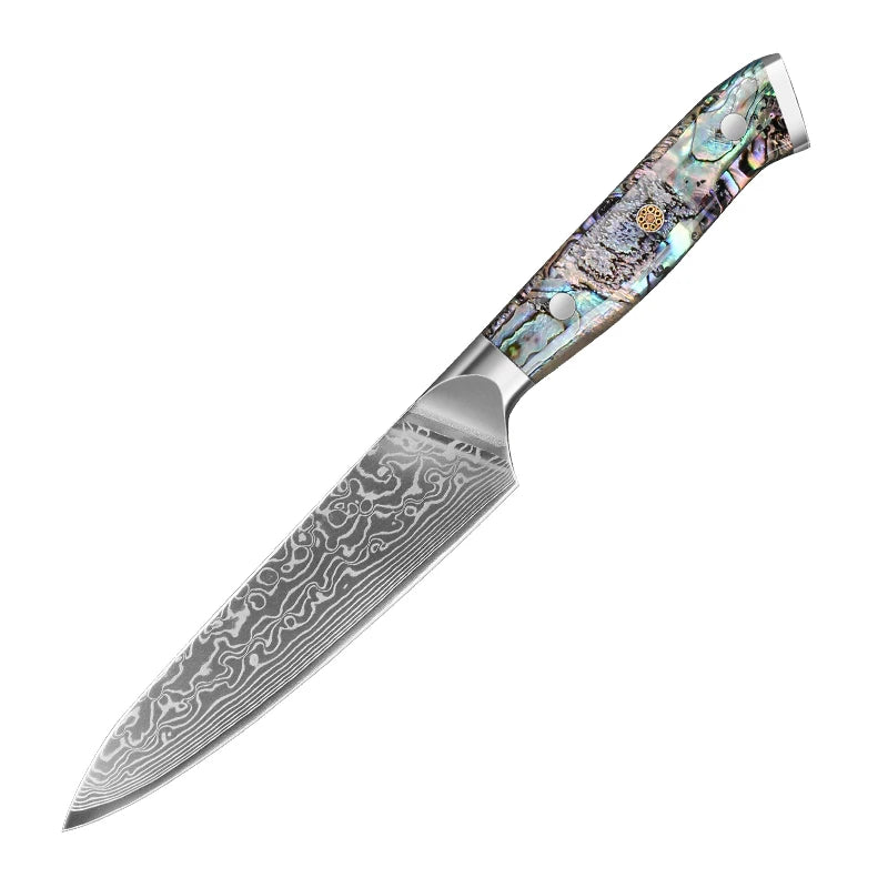 67 Layer Damascus Steel Kitchen Knife Set – Japanese VG10 Style Chef & Vegetable Knives