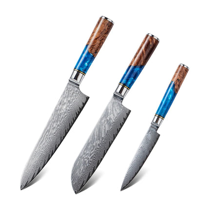 67 Layer VG10 Damascus Steel Chef Knife Set – Blue Resin & Wood Handle