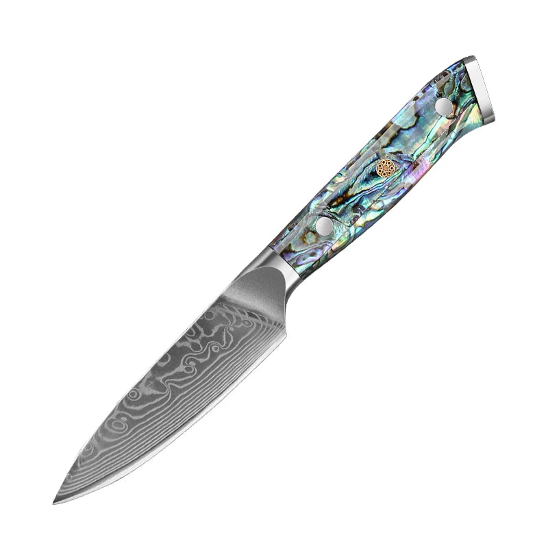 67 Layer Damascus Steel Kitchen Knife Set – Japanese VG10 Style Chef & Vegetable Knives