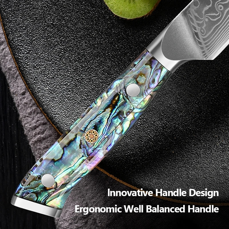 67 Layer Damascus Steel Kitchen Knife Set – Japanese VG10 Style Chef & Vegetable Knives