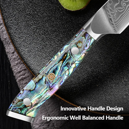 67 Layer Damascus Steel Kitchen Knife Set – Japanese VG10 Style Chef & Vegetable Knives