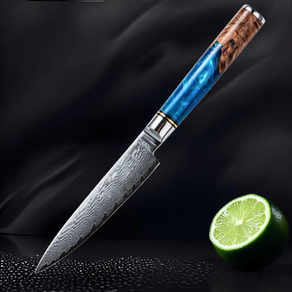 67 Layer VG10 Damascus Steel Chef Knife Set – Blue Resin & Wood Handle