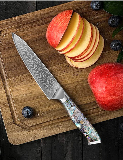 67 Layer Damascus Steel Kitchen Knife Set – Japanese VG10 Style Chef & Vegetable Knives