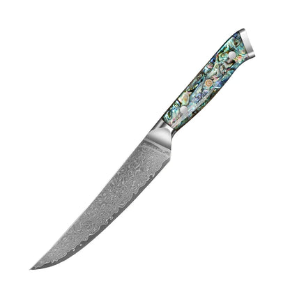 67 Layer Damascus Steel Kitchen Knife Set – Japanese VG10 Style Chef & Vegetable Knives