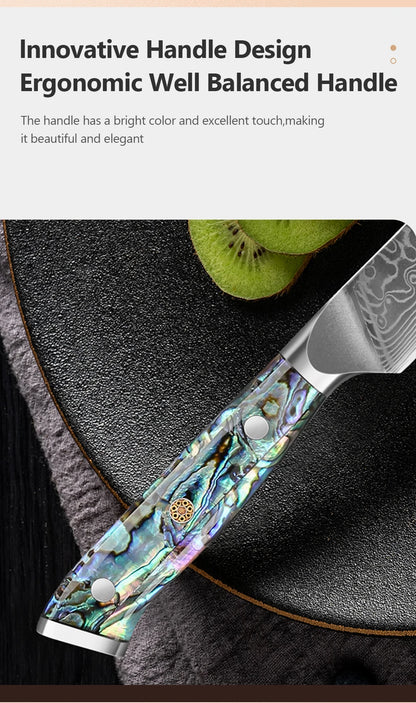 67 Layer Damascus Steel Kitchen Knife Set – Japanese VG10 Style Chef & Vegetable Knives