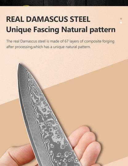67 Layer Damascus Steel Kitchen Knife Set – Japanese VG10 Style Chef & Vegetable Knives