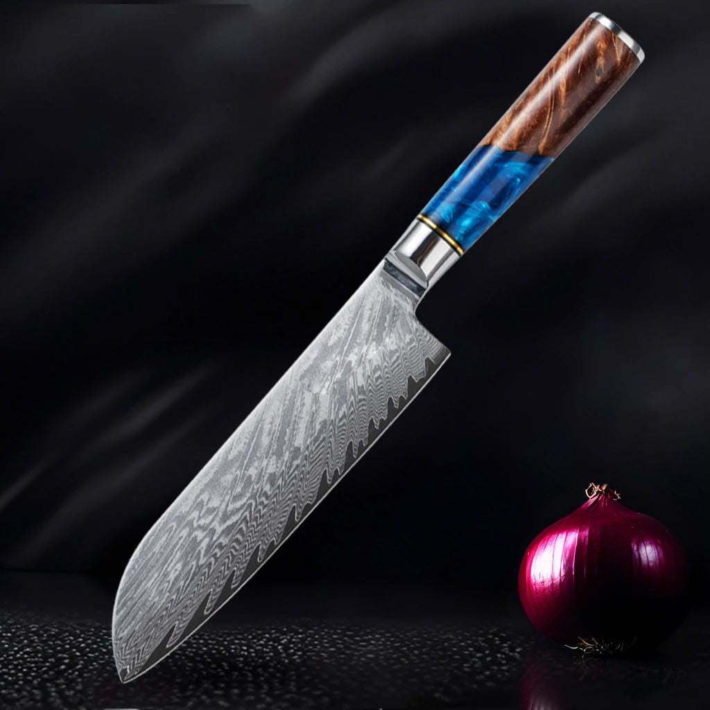 67 Layer VG10 Damascus Steel Chef Knife Set – Blue Resin & Wood Handle