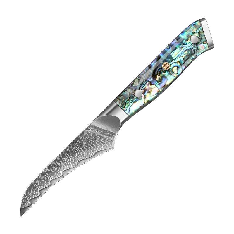 67 Layer Damascus Steel Kitchen Knife Set – Japanese VG10 Style Chef & Vegetable Knives